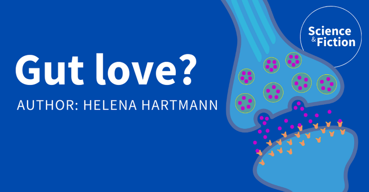 An image saying the title of the story "Gut love?" and author "Helena Hartmann". It also includes the logo of Science & Fiction and a picture of a nerve cell, called a neuron.